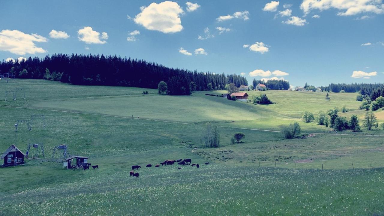 Daheim Im Hirschen Διαμέρισμα Schönwalde Εξωτερικό φωτογραφία
